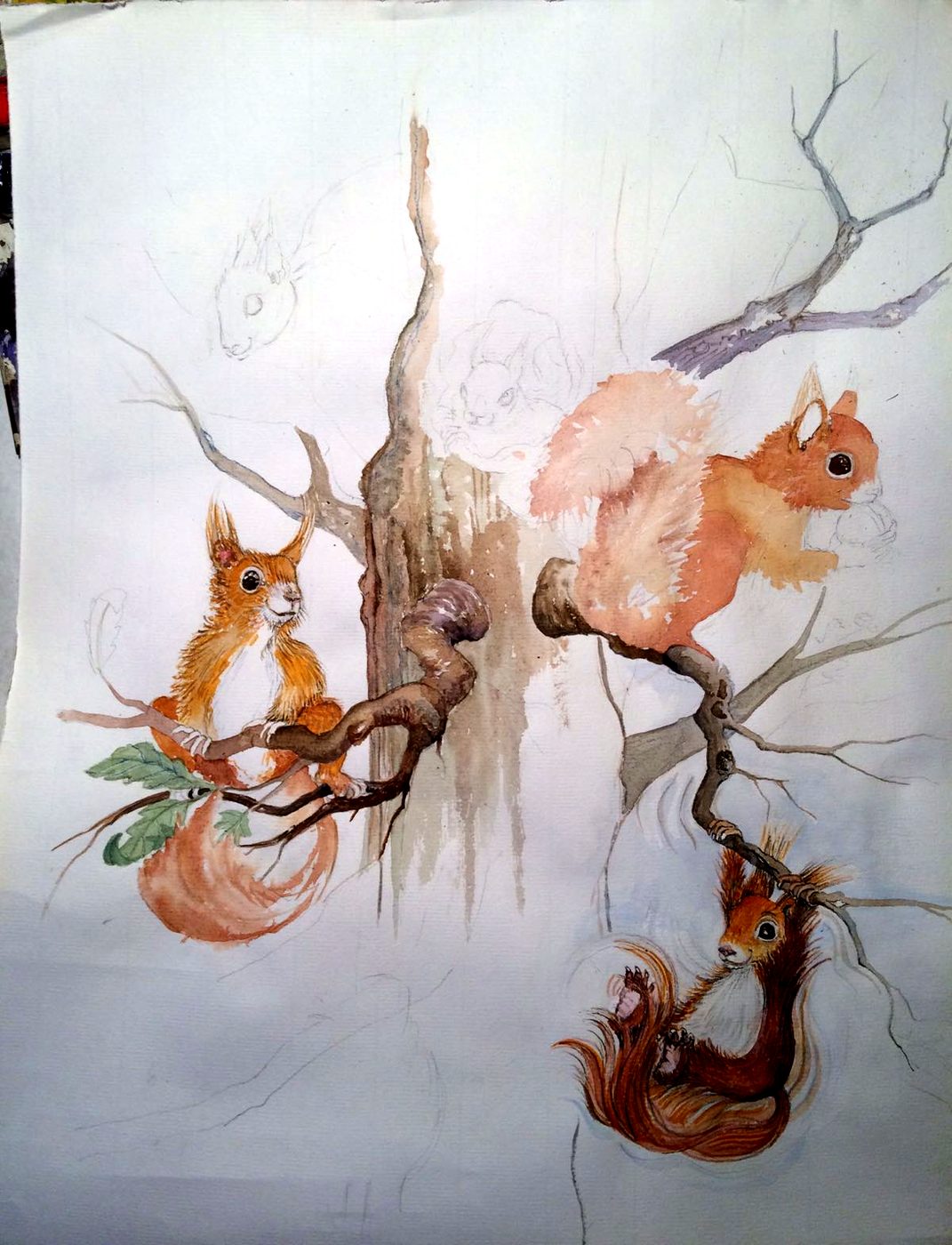 Unfertiges Aquarell: drei Eichhörnchen an einem kahlen Baum, Äste nur mit Bleistift angedeutet.