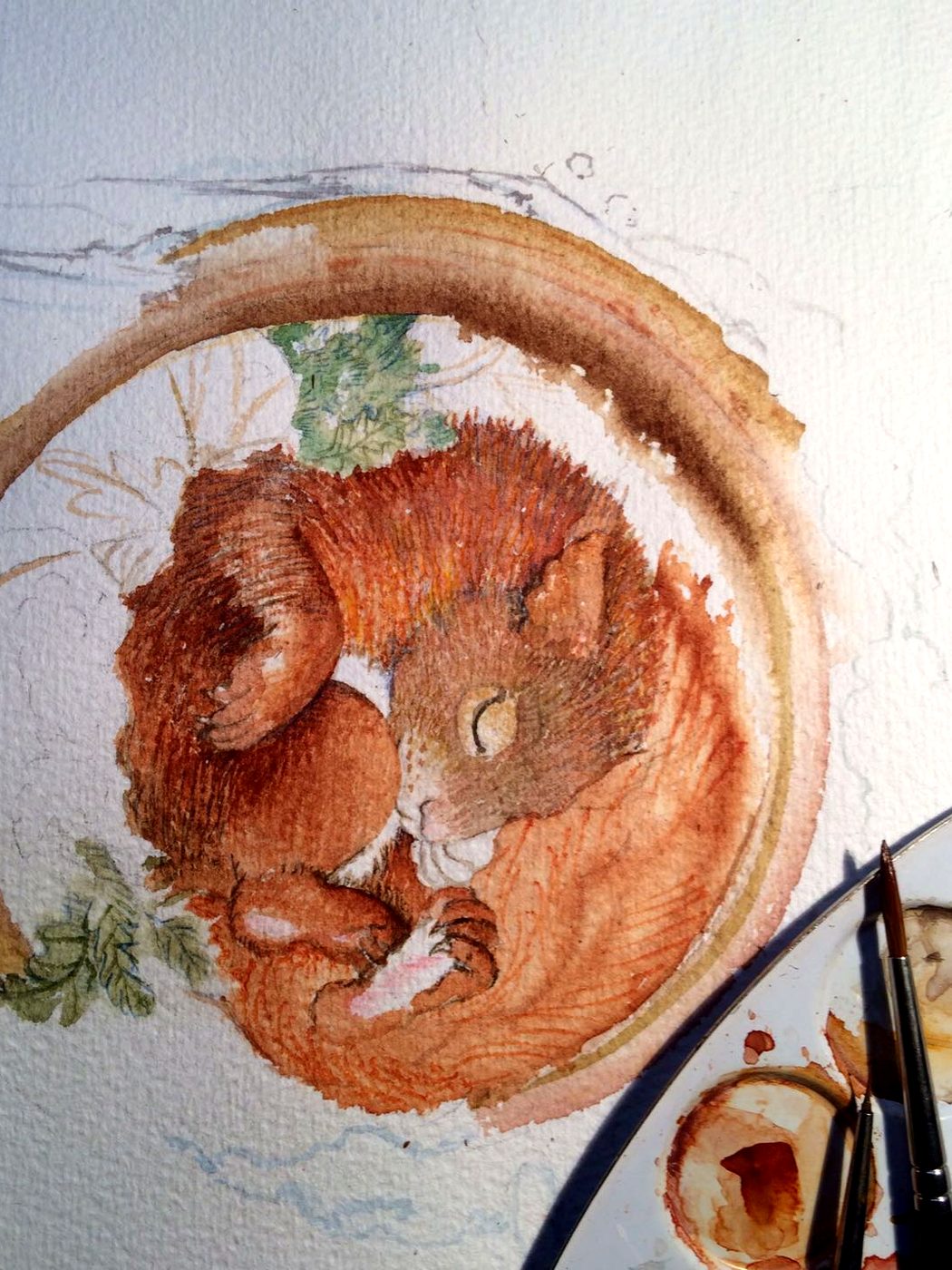 Das schlafende Eichhörnchen ist rotbraun ausgemalt, rechts unten Pinsel und Farbnäpfchen.