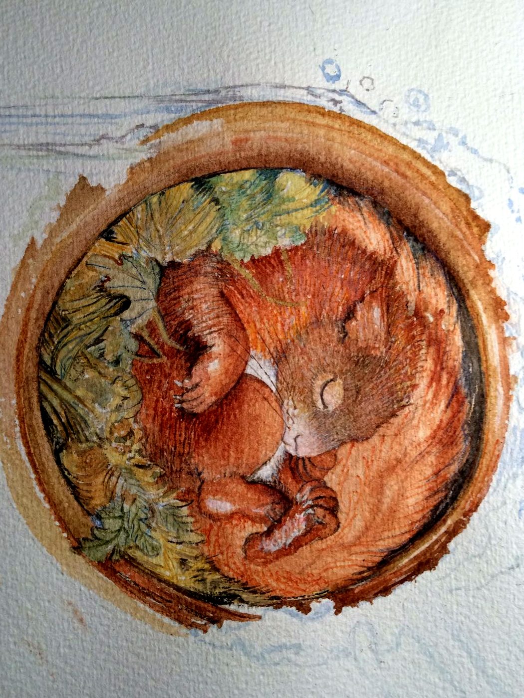 Eichhörnchen im Kreis, umgeben von grünbraunem Nest und einem Holzrahmen.